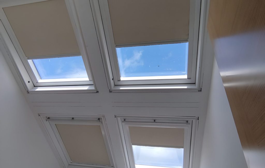 Imagen de WhatsApp 2023-11-24 a las 14.45.25_9518c26d_out